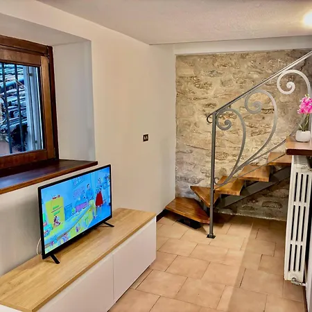 Vittoria House - Tulip And Tulip *