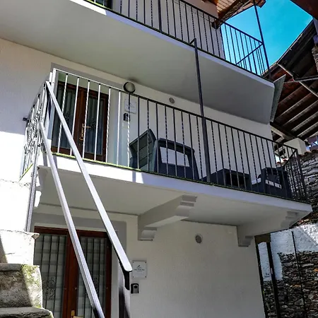 Vittoria House - Tulip And Tulip *