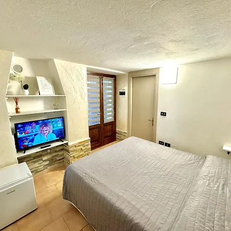 Vittoria House - Tulip And Tulip