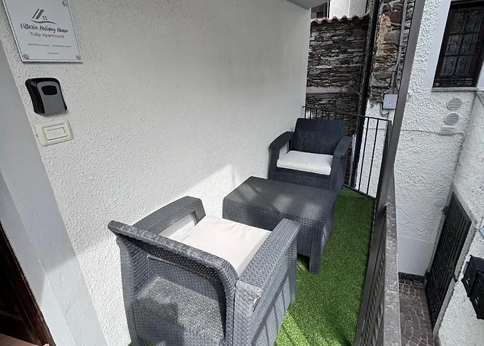 Vittoria House - Tulip And Tulip *